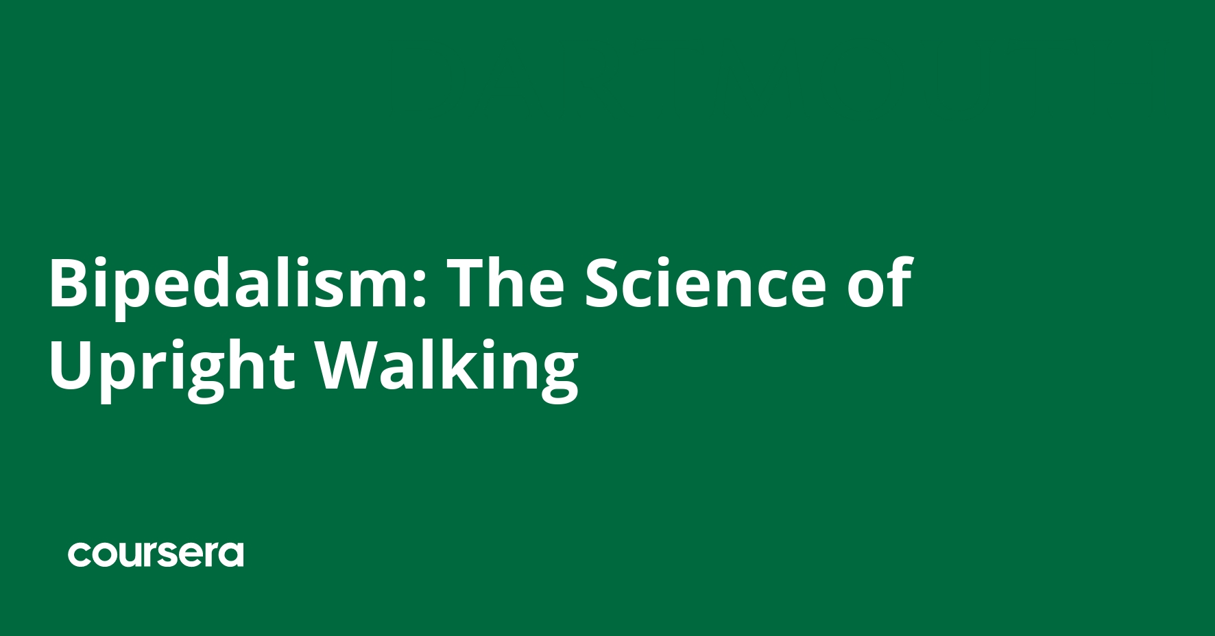 bipedalism-the-science-of-upright-walking